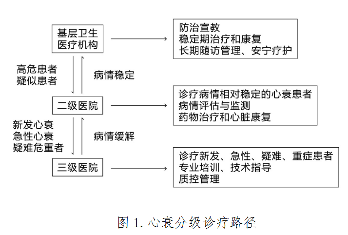 心力衰竭分级诊疗服务技术方案